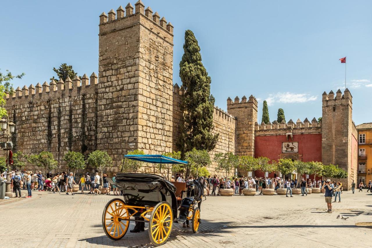 Waou Cosy Iii Cathedral Seville